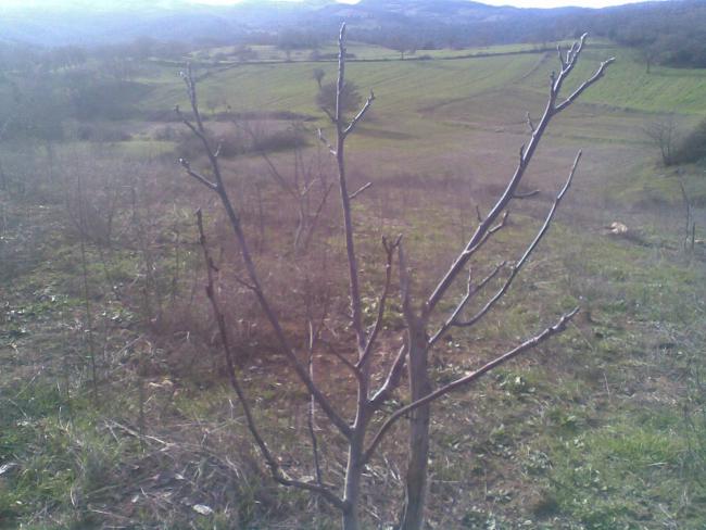 Name:  Grnt103.jpg
Views: 1519
Size:  49.1 KB