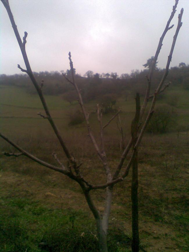Name:  Grnt062.jpg
Views: 1303
Size:  51.5 KB