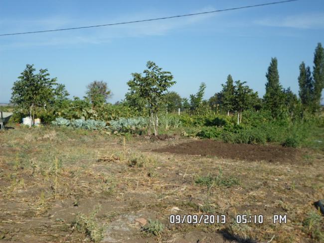 Name:  SAM_0269.jpg
Views: 4198
Size:  58.4 KB
