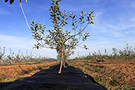 Name:  m3b.jpg
Views: 1594
Size:  61.0 KB