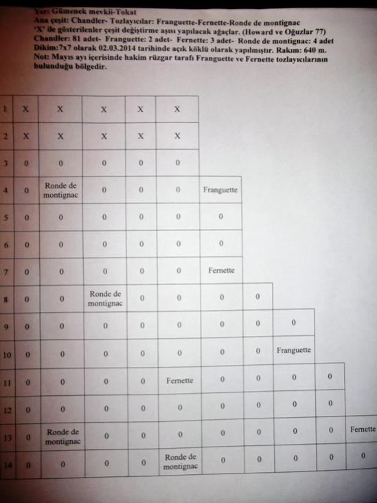 Name:  Bahe plan.jpg
Views: 4648
Size:  45.1 KB