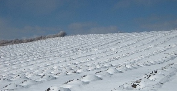 Name:  007.JPG
Views: 7939
Size:  63.2 KB