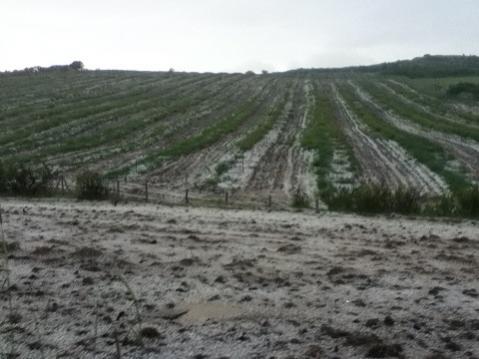 Name:  018.jpg
Views: 8086
Size:  27.2 KB