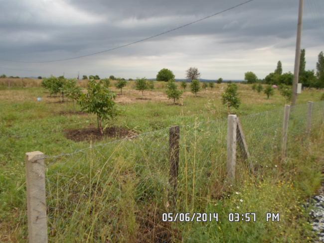 Name:  SAM_0400.jpg
Views: 1045
Size:  49.9 KB