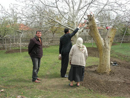 Name:  DSCN6126.JPG
Views: 42835
Size:  64.3 KB
