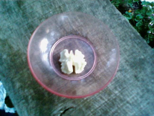 Name:  Fotoraf-0008.jpg
Views: 3773
Size:  37.4 KB