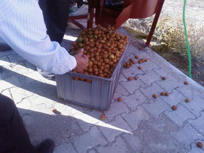 Name:  Fotoraf-0004.jpg
Views: 4715
Size:  53.5 KB