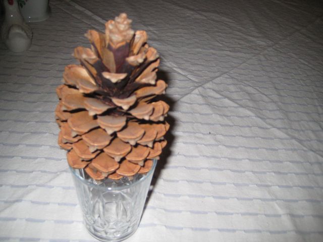 Name:  IMG_5037.JPG
Views: 1433
Size:  51.6 KB