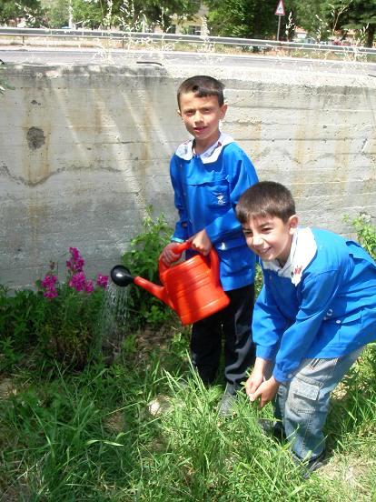 Name:  Dnyann Btn iekleri.JPG
Views: 3302
Size:  64.4 KB