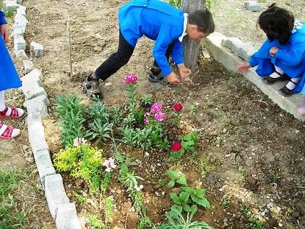Name:  Dnyann Btn iekleri 2.JPG
Views: 2379
Size:  59.8 KB
