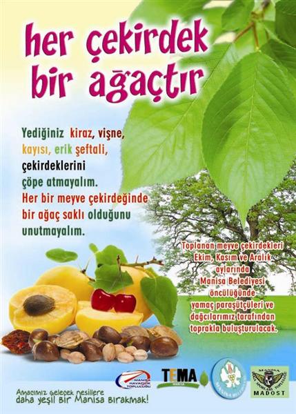 Name:  ekirdek1 (Medium).jpg
Views: 52563
Size:  62.7 KB