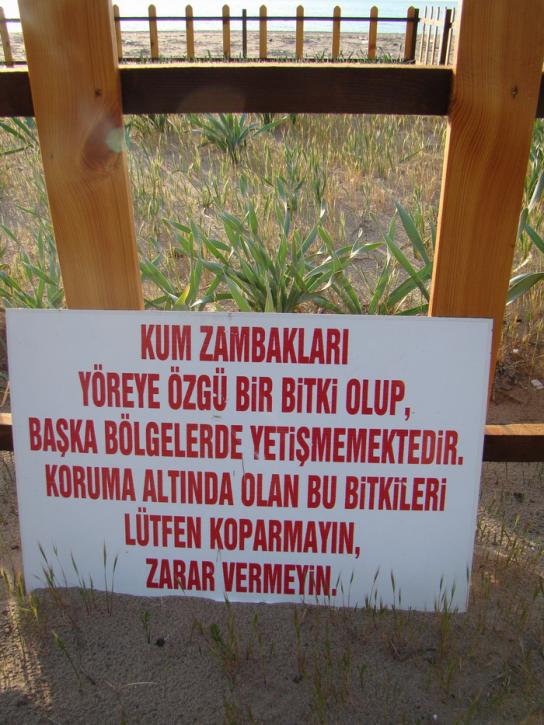 Name:  z1.jpg
Views: 895
Size:  73.4 KB