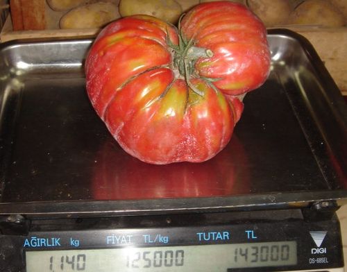 Name:  pembe.jpg
Views: 3507
Size:  32.5 KB