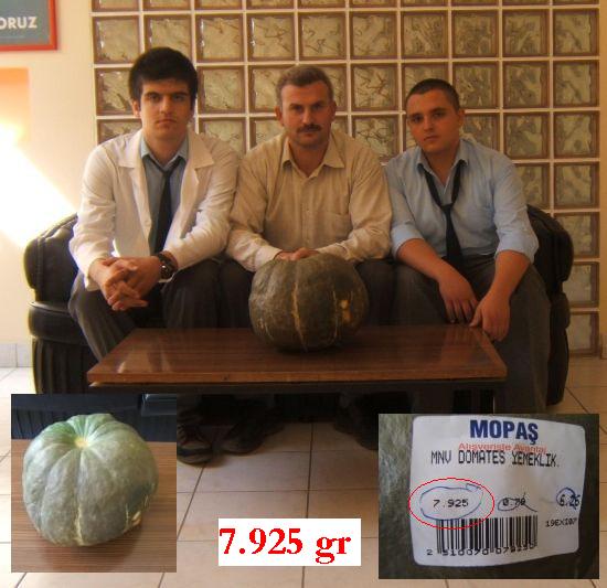 Name:  kabak1.jpg
Views: 1352
Size:  58.4 KB