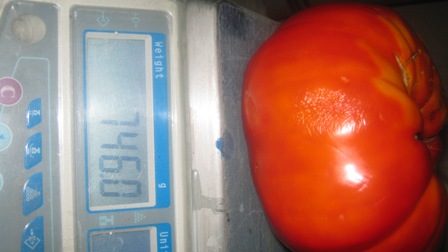 Name:  015.JPG
Views: 1971
Size:  33.7 KB