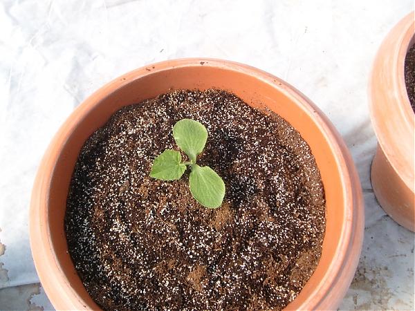 Name:  sahibinden_3.3.08.jpg
Views: 2314
Size:  67.4 KB