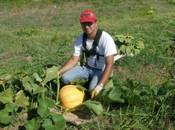 Name:  HPIM1895.jpg
Views: 716
Size:  64.8 KB