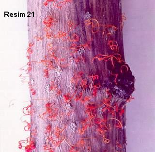 Name:  21.jpg
Views: 3202
Size:  20.9 KB