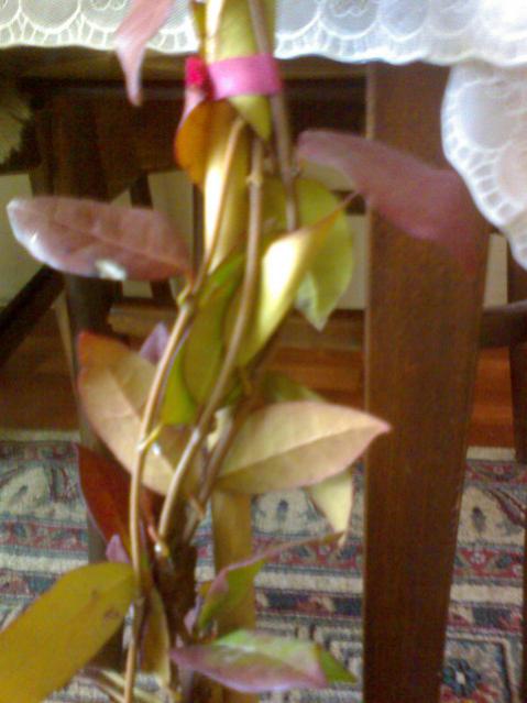 Name:  ABCD0001.jpg
Views: 757
Size:  38.0 KB