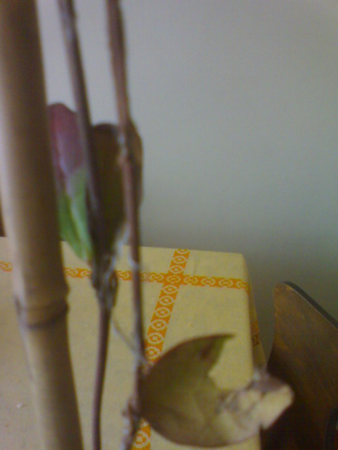 Name:  ABCD0004.JPG
Views: 777
Size:  41.0 KB