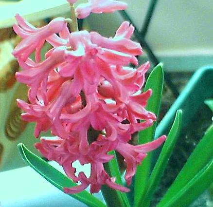 Name:  Resim 062.jpg
Views: 9488
Size:  34.8 KB