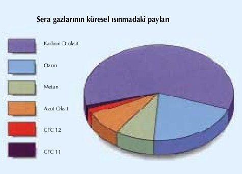 Name:  seragazlar.jpg
Views: 17359
Size:  21.2 KB