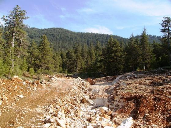 Name:  ite_bozuk_orman_denilen_alanlardan_biri.jpg
Views: 2400
Size:  58.6 KB