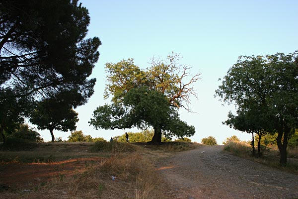 Name:  ads-1.jpg
Views: 7421
Size:  58.4 KB