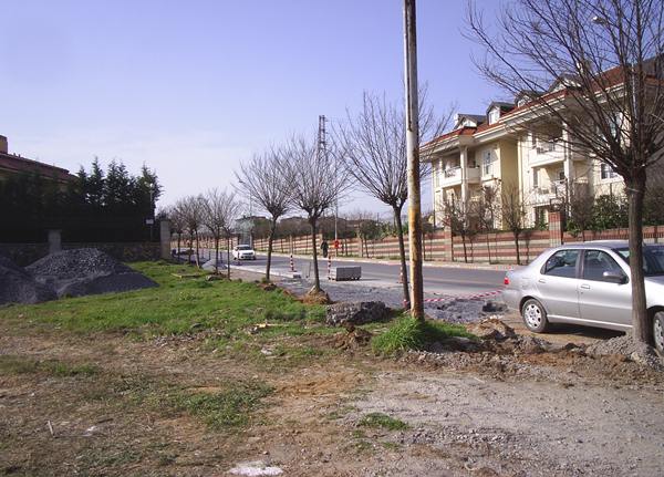 Name:  PIC_0016.JPG
Views: 648
Size:  59.4 KB