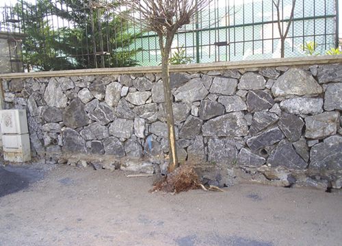 Name:  PIC_0025.JPG
Views: 535
Size:  52.2 KB