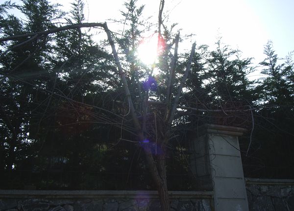 Name:  PIC_0027.JPG
Views: 828
Size:  55.1 KB