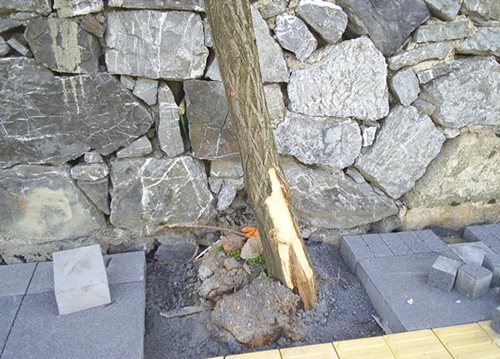 Name:  PIC_0033.JPG
Views: 224
Size:  59.9 KB