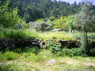 Name:  Osmaniye ky 5.jpg
Views: 1430
Size:  30.5 KB