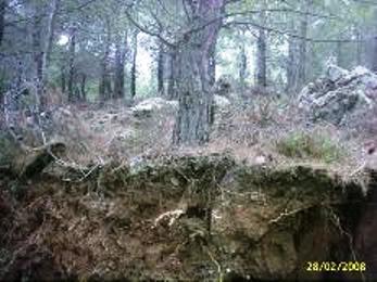 Name:  Osmaniye 2.JPG
Views: 706
Size:  22.8 KB
