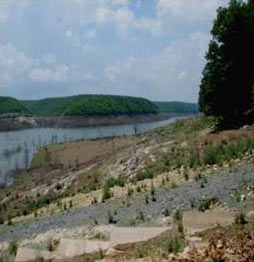 Name:  sss2.jpg
Views: 769
Size:  15.0 KB