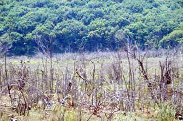 Name:  sss4.jpg
Views: 493
Size:  34.4 KB
