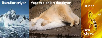 Name:  kuresel4.jpg
Views: 4858
Size:  16.6 KB