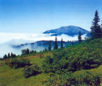 Name:  caldagi.jpg
Views: 2890
Size:  22.0 KB