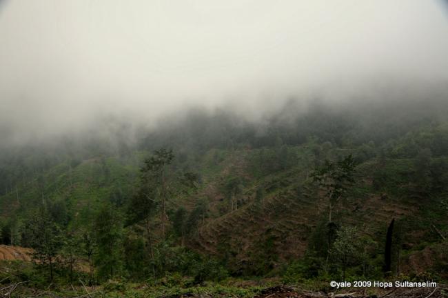 Name:  LEV_6353.jpg
Views: 904
Size:  29.3 KB