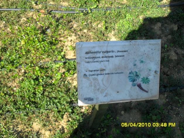 Name:  SDC12108.jpg
Views: 921
Size:  70.9 KB