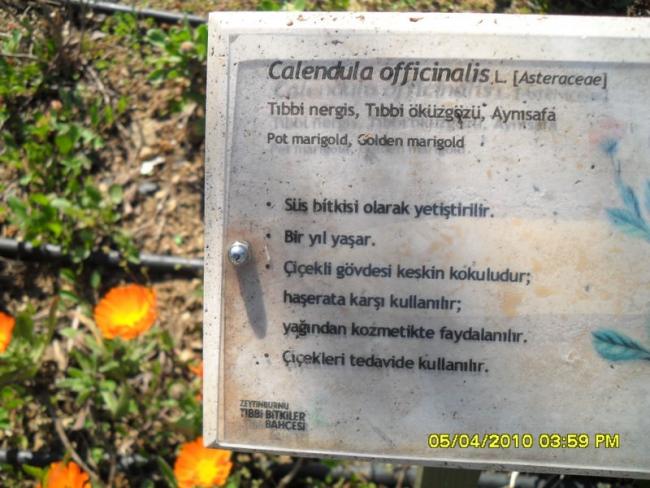 Name:  SDC12124.jpg
Views: 943
Size:  56.0 KB