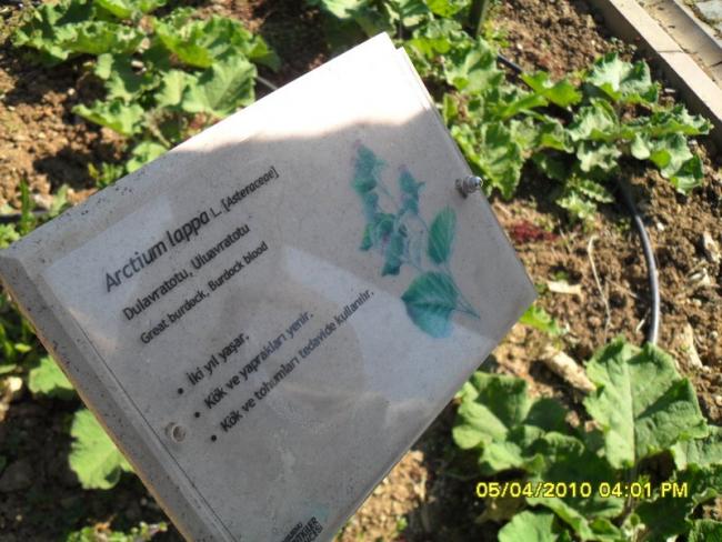 Name:  SDC12126.jpg
Views: 1021
Size:  59.7 KB