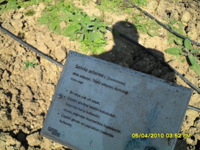 Name:  SDC12116.jpg
Views: 519
Size:  61.5 KB