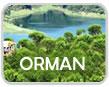 Name:  ormantv.jpg
Views: 416
Size:  3.6 KB