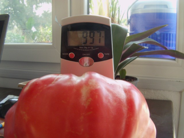 Name:  pembe domates (8).JPG
Views: 4955
Size:  51.8 KB