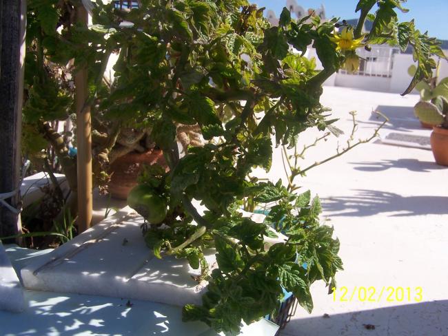 Name:  040.jpg
Views: 1452
Size:  64.7 KB