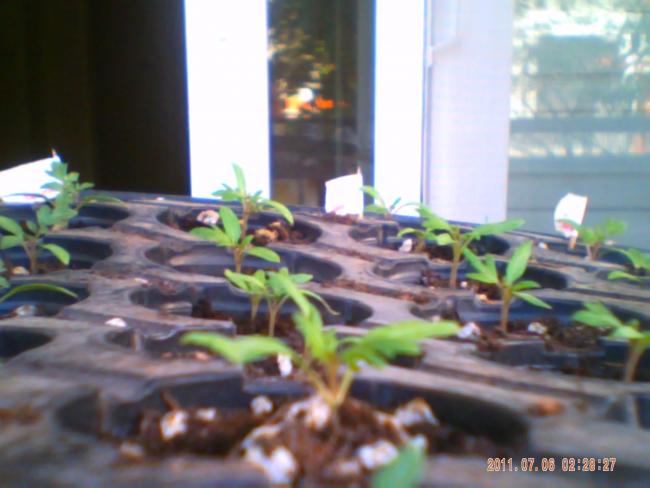 Name:  100-0015.jpg
Views: 2466
Size:  37.5 KB