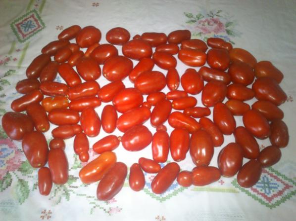 Name:  san_marzano.jpg
Views: 1411
Size:  41.3 KB