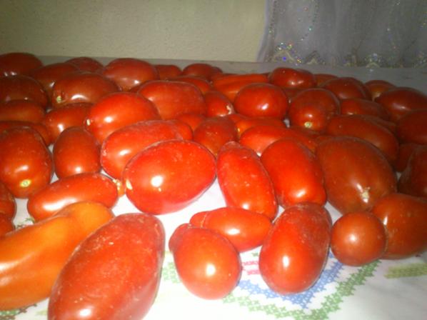 Name:  san-marzano.jpg
Views: 1282
Size:  31.7 KB