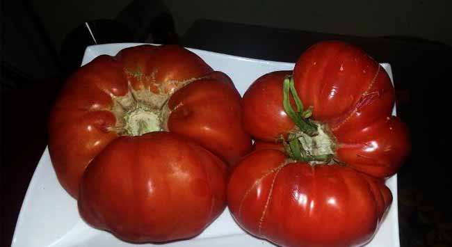 Name:  maniye.jpg
Views: 3873
Size:  42.2 KB